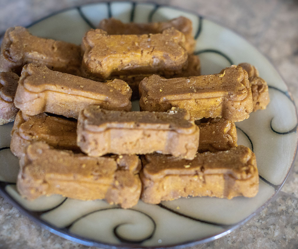 Dante’s 6th Birthday Party