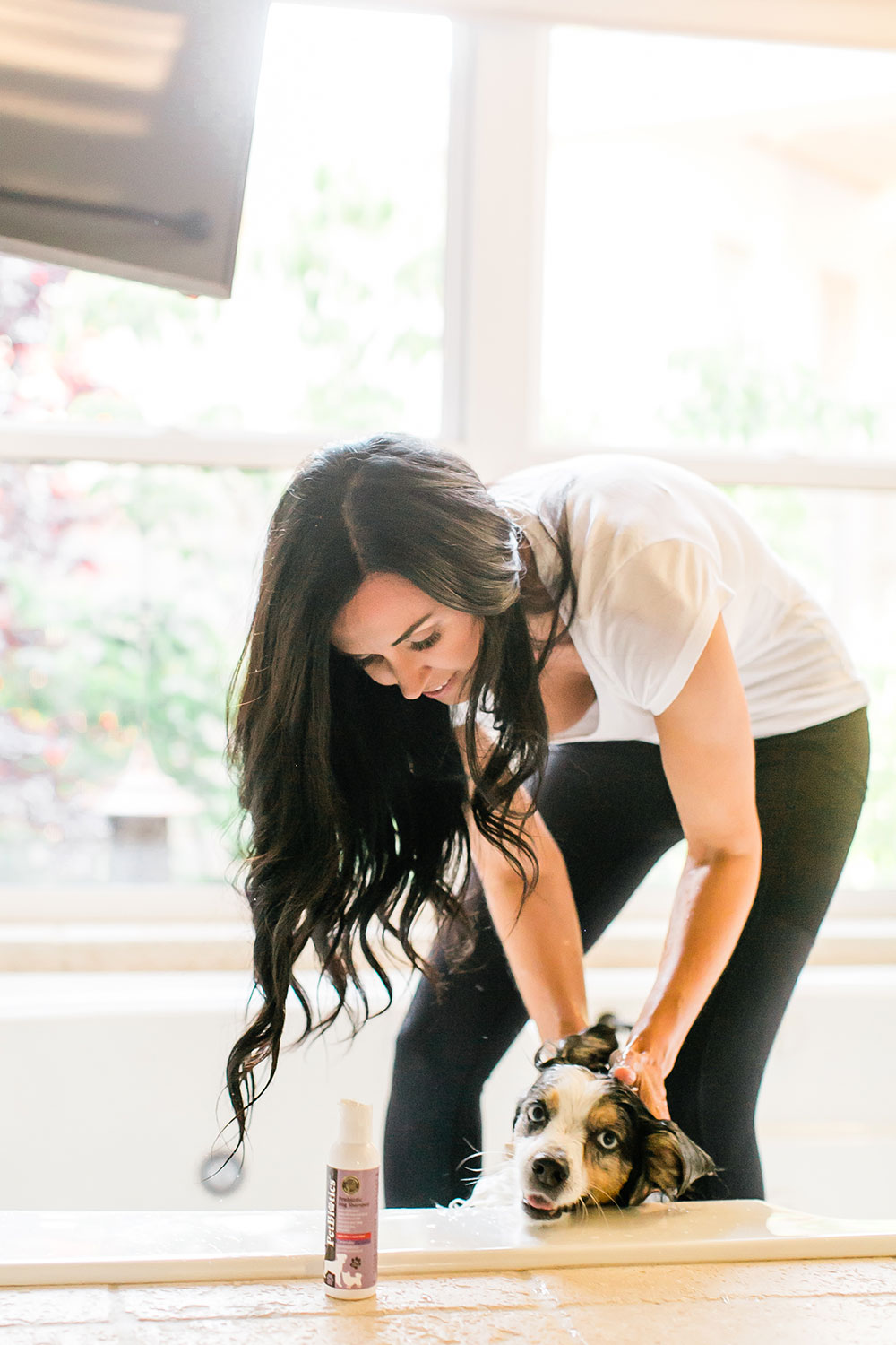 Pretty-Pure-Organic-Bunny-Box-Dog