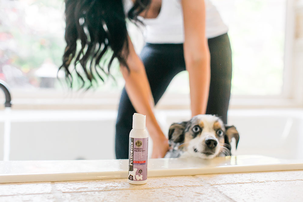 Pretty-Pure-Organic-Bunny-Box-Dog2