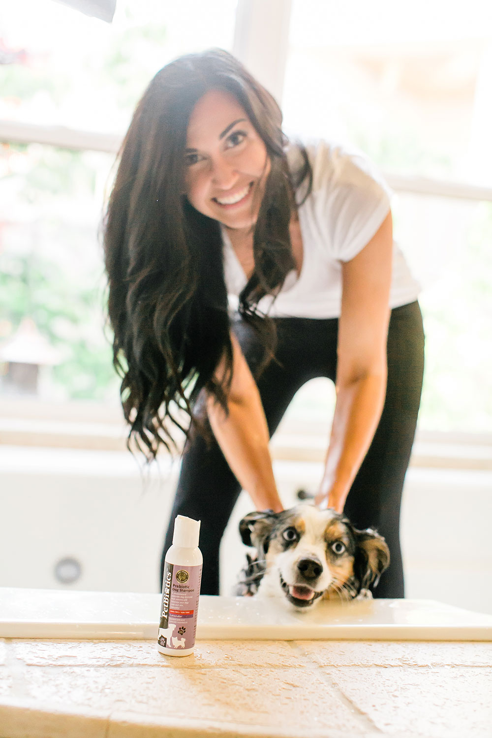 Pretty-Pure-Organic-Bunny-Box-Dog3