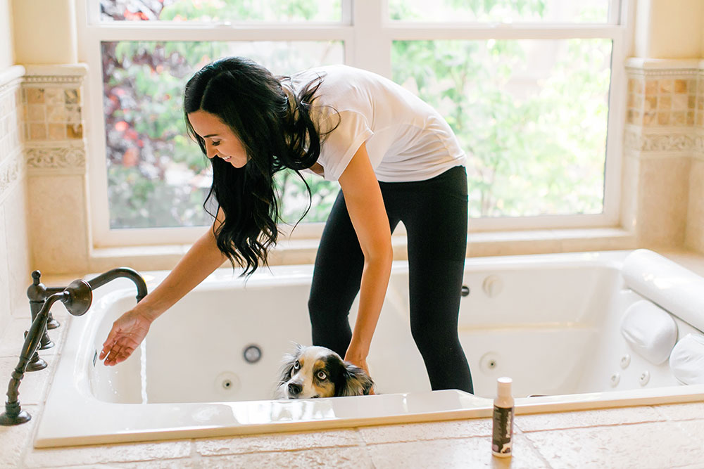 Pretty-Pure-Organic-Bunny-Box-Dog4