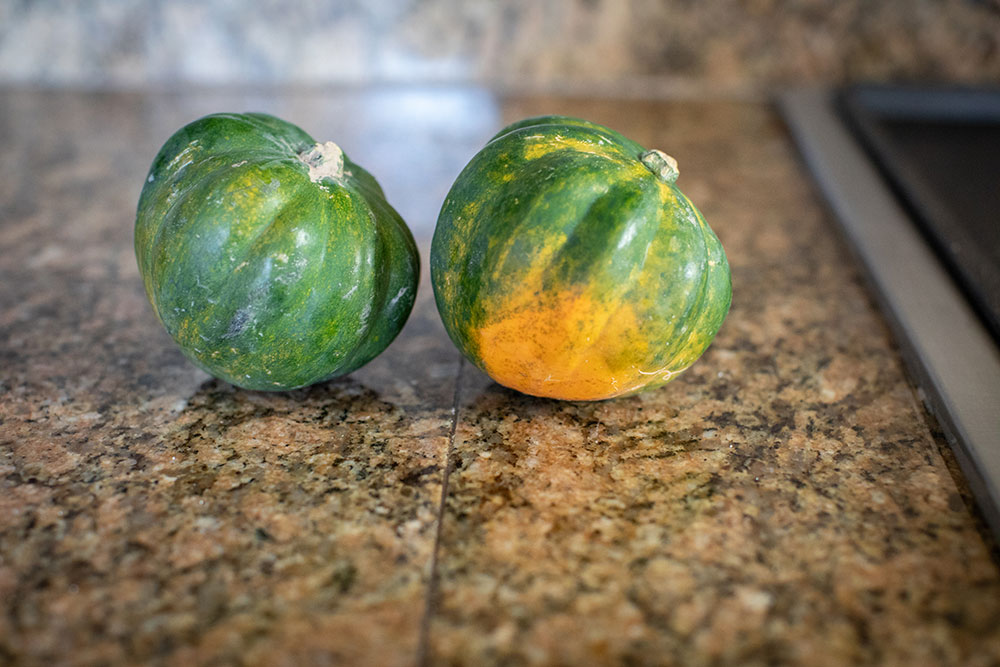 Pretty-Pure-Acorn-Squash